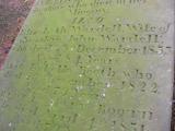 image of grave number 48736
